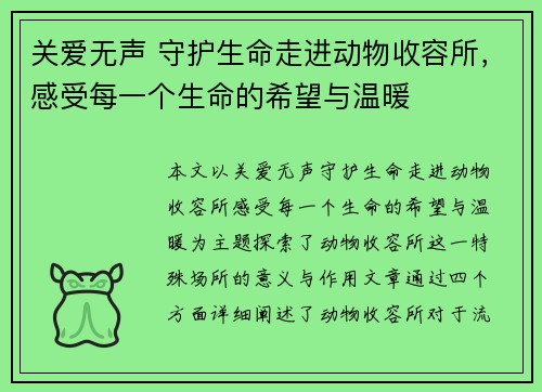 关爱无声 守护生命走进动物收容所，感受每一个生命的希望与温暖